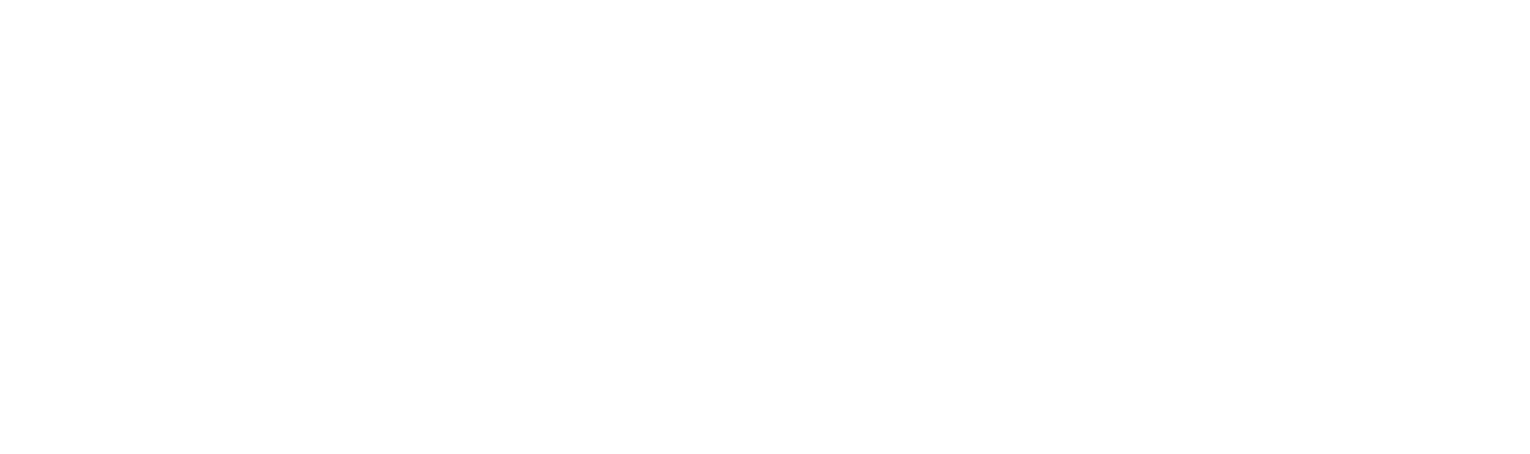 Sentire Systems